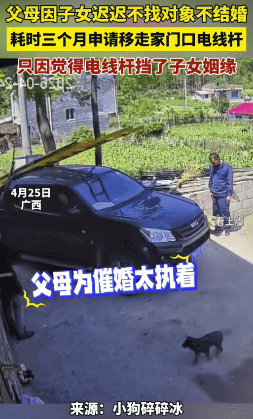“笑不活了！”广西，女子迟迟不找对象不结婚，没想到，她父母觉得门前电线杆挡了她的