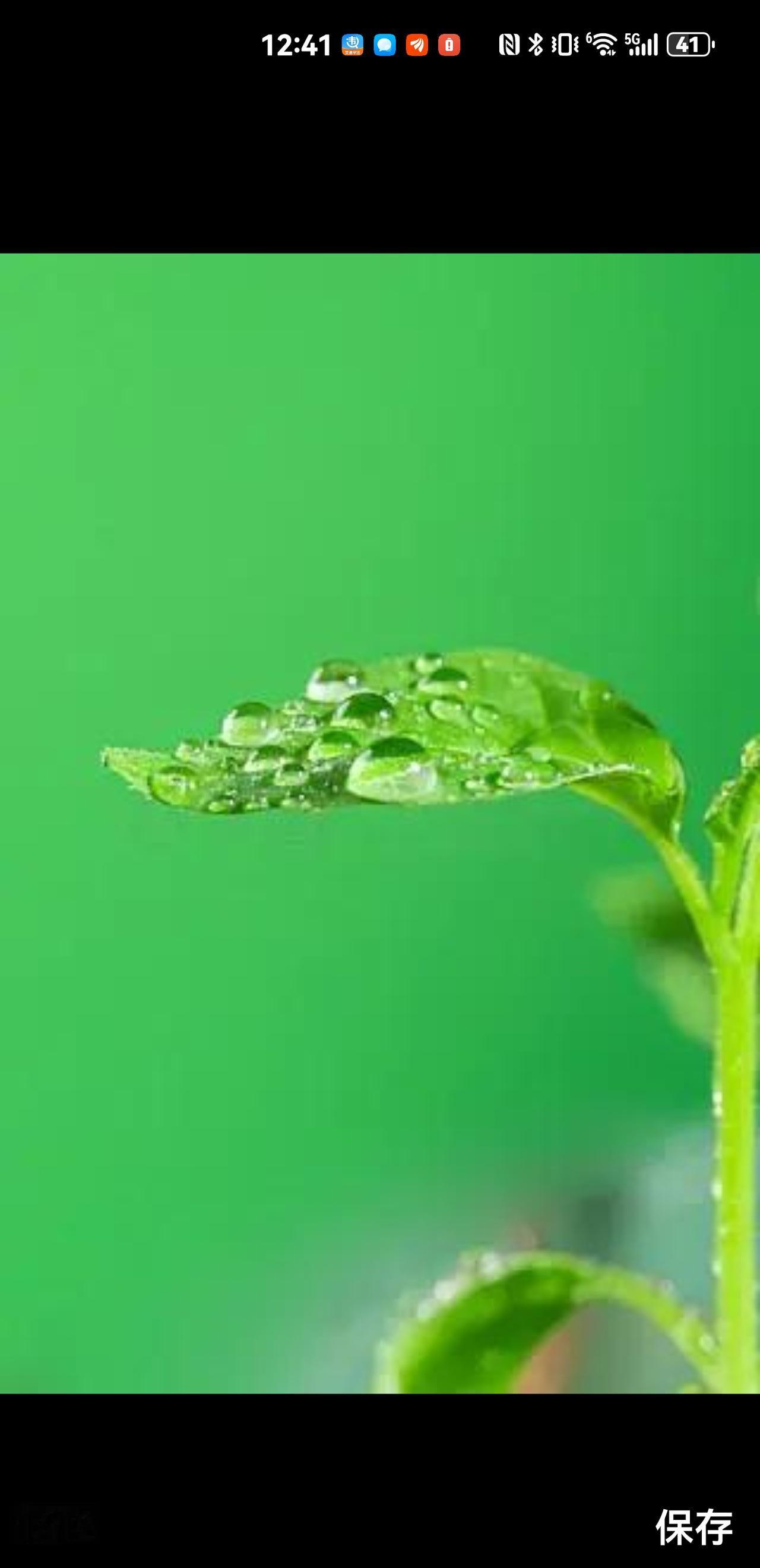 今日谷雨
春深谷雨润心田，
岁月无情人有情。
风调雨顺五谷丰，
……
邀请你来结