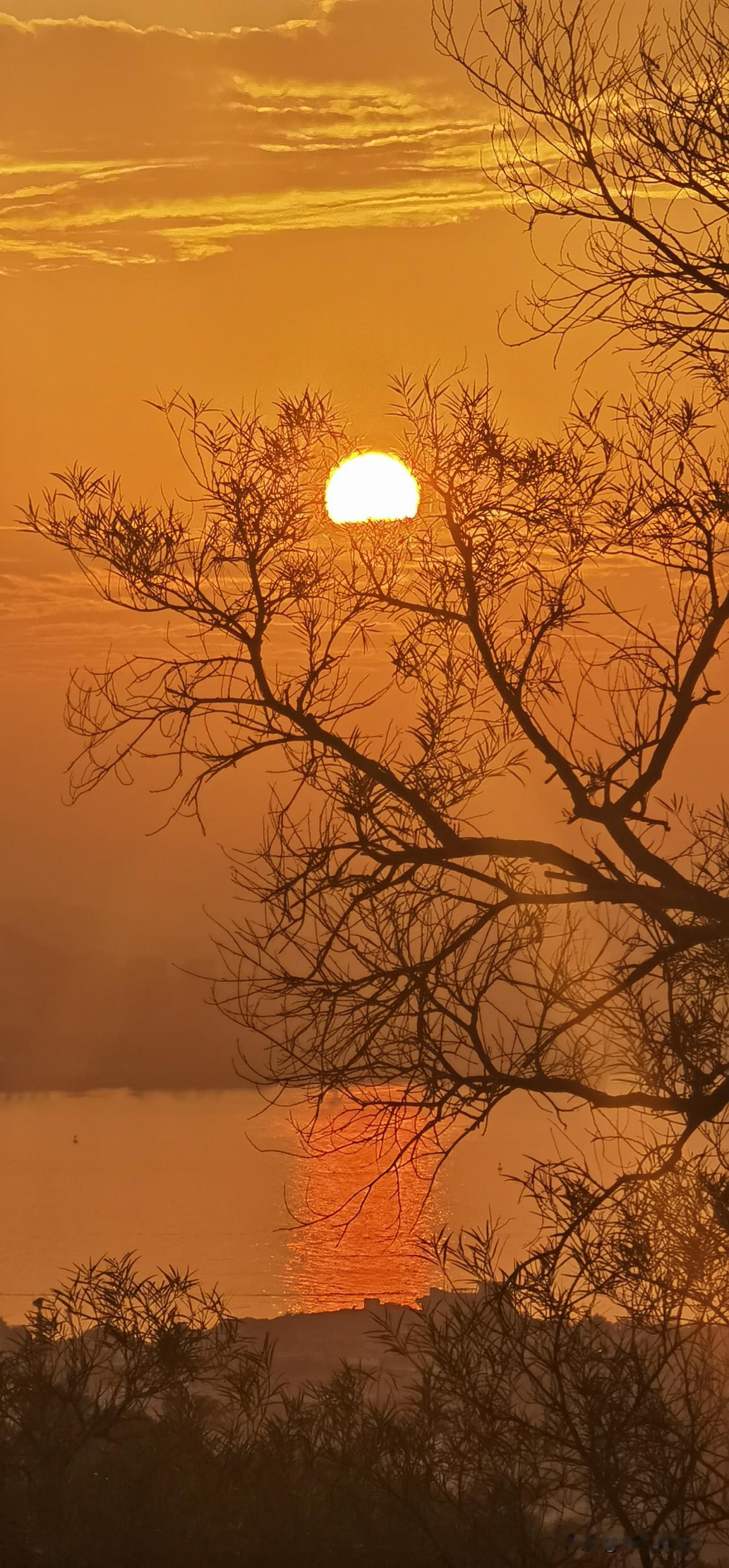 站在山顶，凭栏而促，枯树疏枝横斜，夕阳西沉入海，余晖染遍天际，静谧海面尽映漫天晚