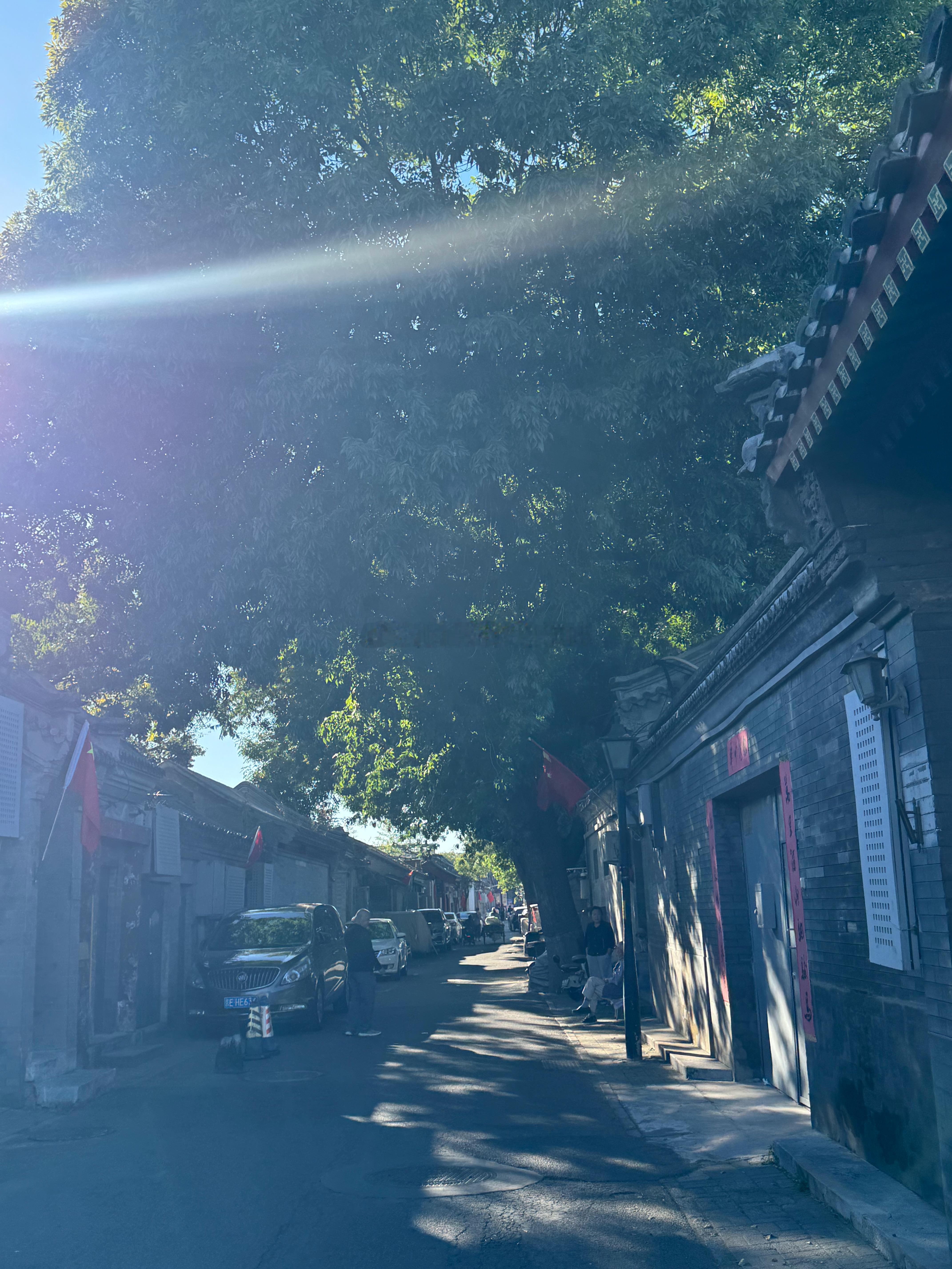 我发现就那几条出名的胡同游客多 逛了几个小小深深的胡同 没什么人 好惬意 生活手