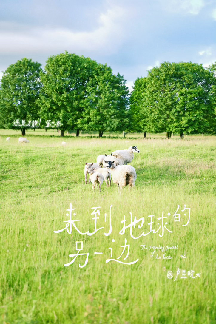 卢昱晓瘦成竹竿了怀念我女的脸颊肉🥹期待待播作品和遇见才晓第三季💓 ​​​