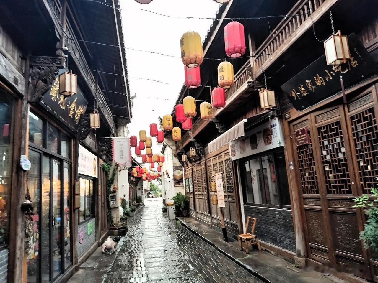 低洼蚁迁避雨涝。