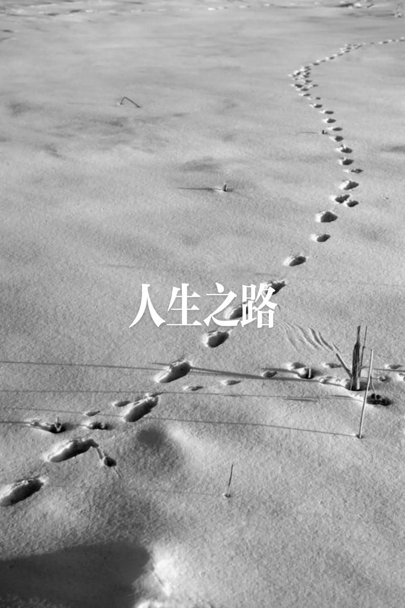 人生要避开五大忌
       人生有五大忌，需多加留意。
       一忌盲