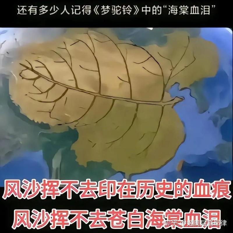 【听了快40年的歌，竟有隐藏剧情】
早上打车，司机放着费玉清1984年唱的那首《