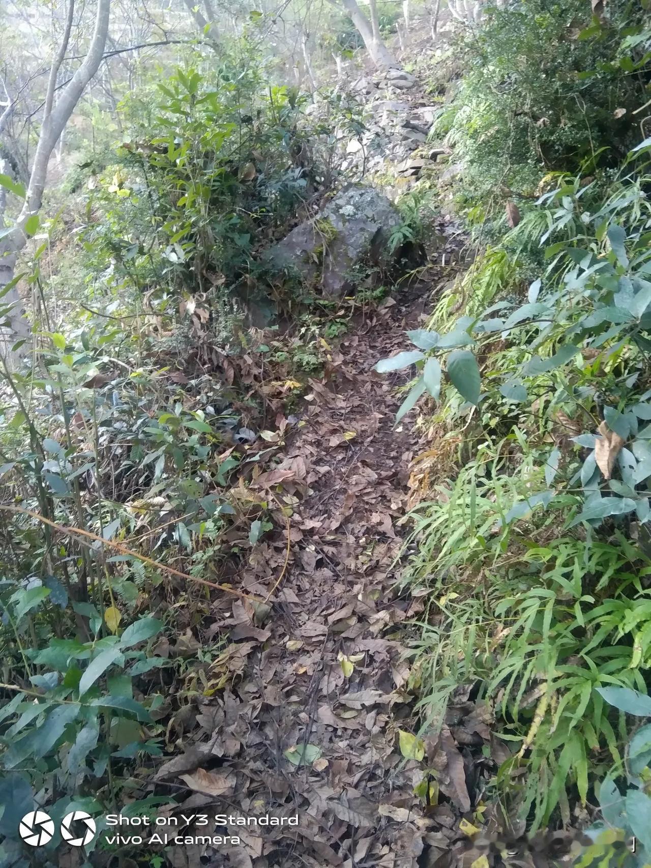 去山上的小路，两边还是绿茵茵的，好像还没有到冬天的，小时候霜降到了。就下霜了，现