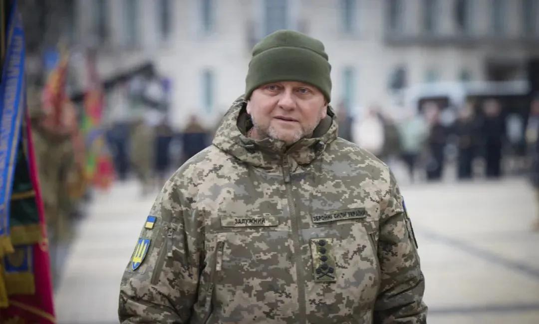 乌军原司令扎卢日内接受了乌相关医疗委员会的军事体检。体检结果显示健康指标不符合继