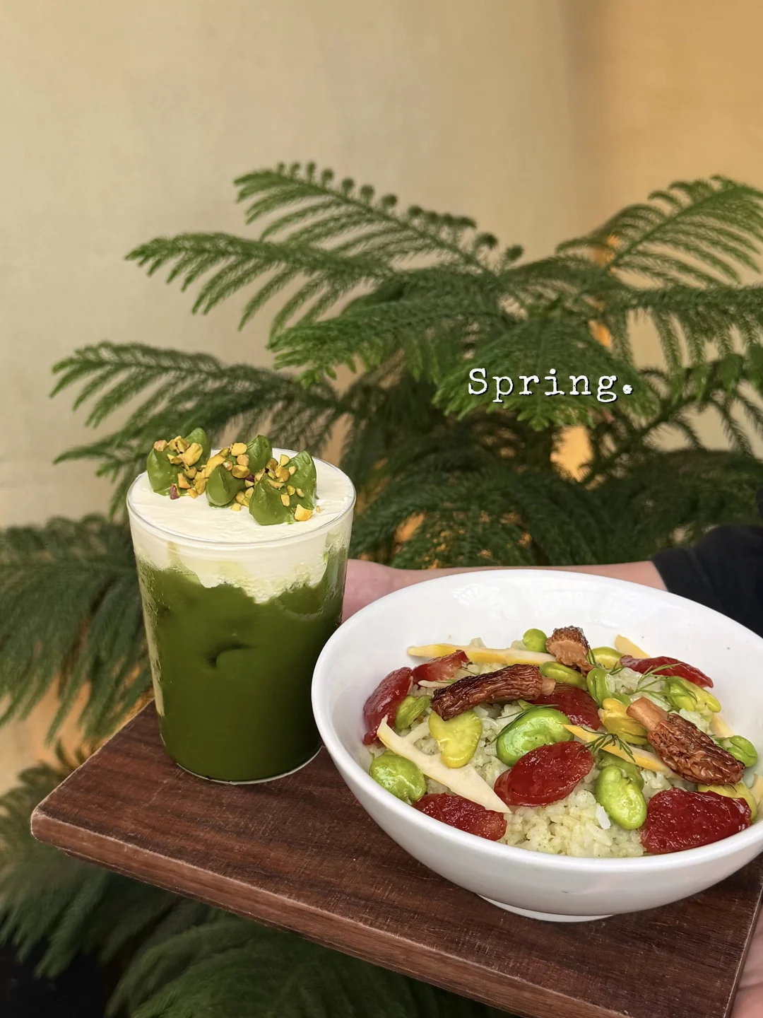 🎋三出山你别太会了！春日新品美到犯规～