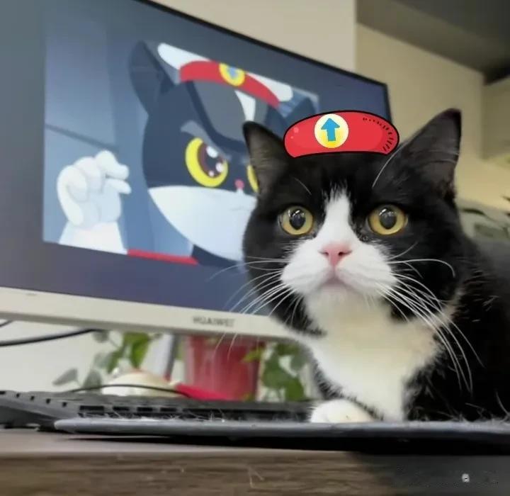 这是我见过最像的