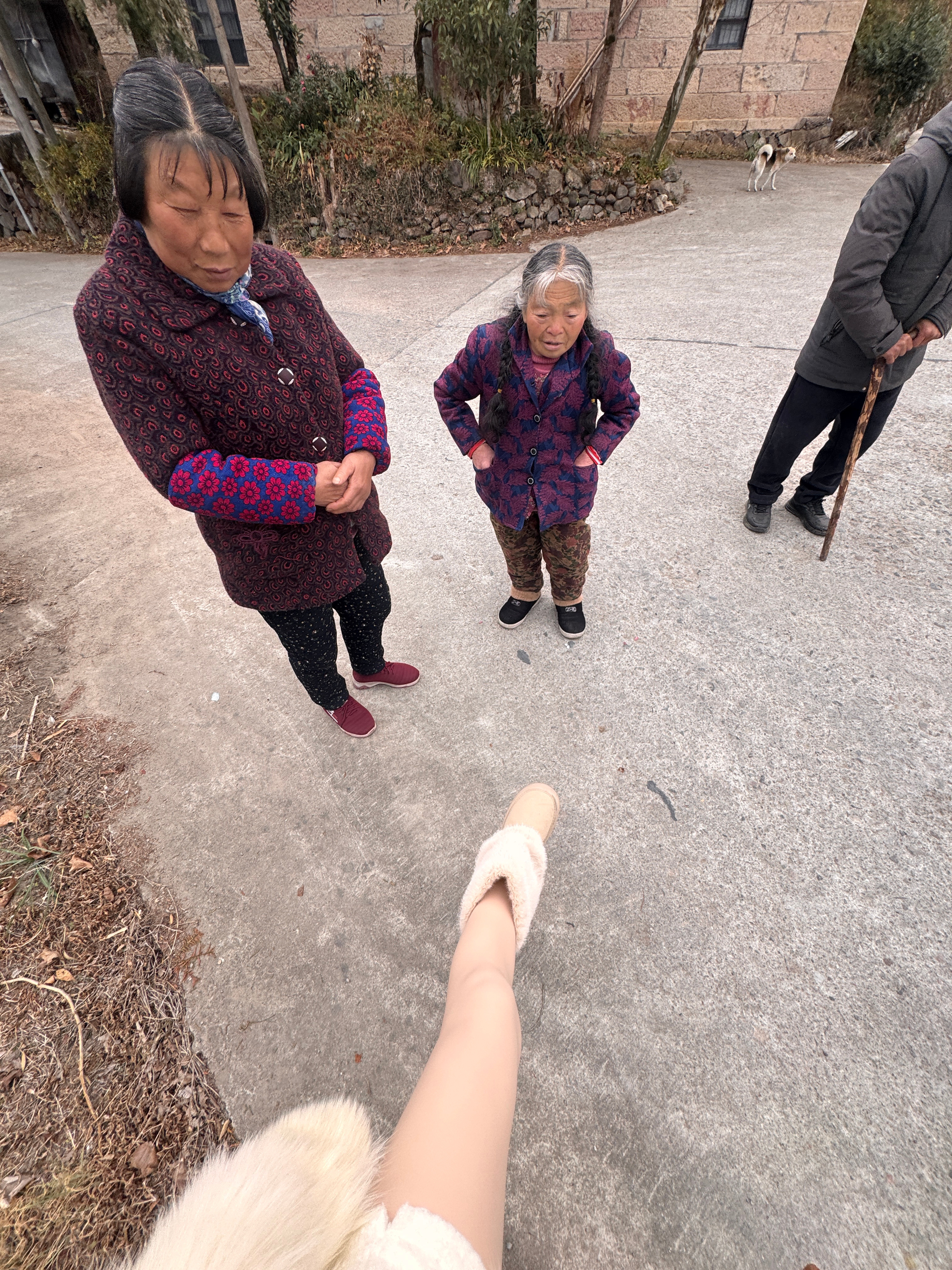 去村口等车 路过的奶奶们在讨论我有没有穿裤子这次回家又拎了一个新篮子回杭州 拿了