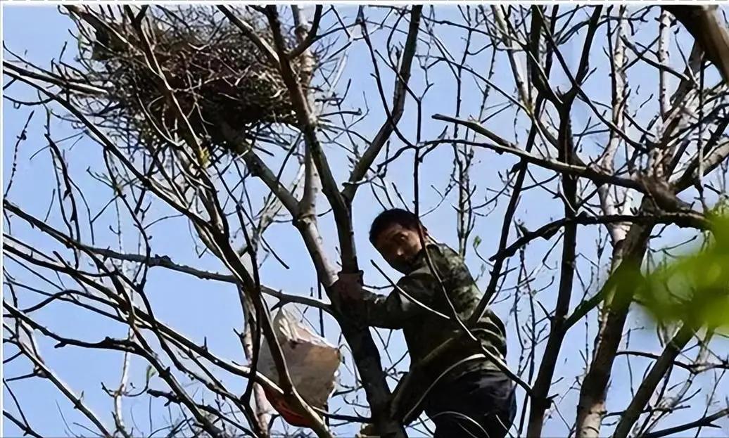 今天聆听西北大学王教授解读《生态环境法典》，教授列举了两组极具对比性的典型案例：