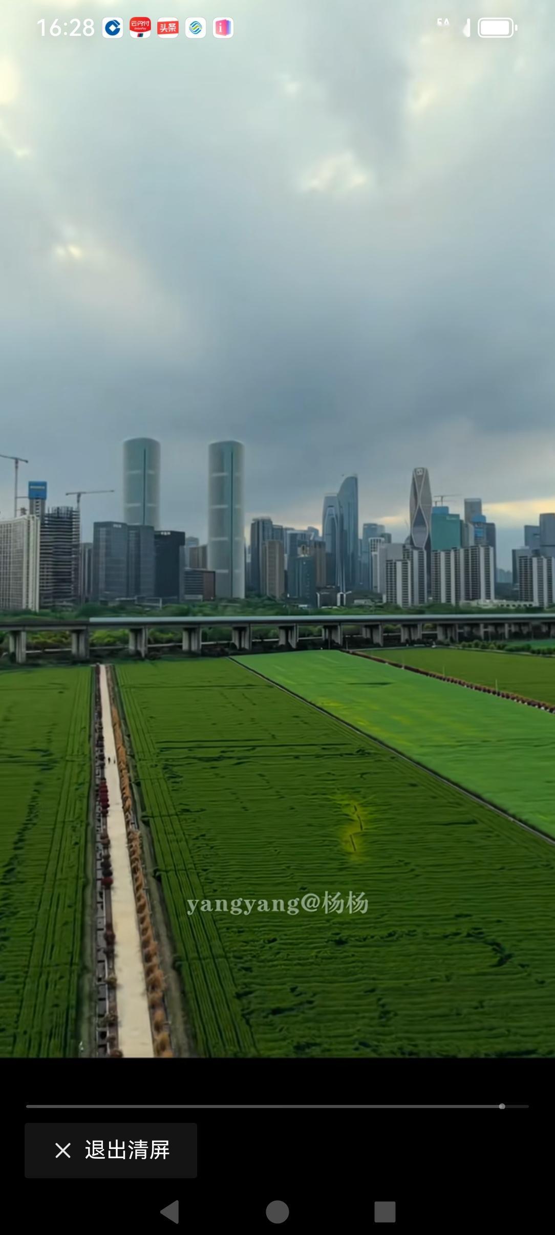 高楼
高铁
麦田
等过两个多月就是金灿灿的麦浪
还得是浙江
这景看着就舒服