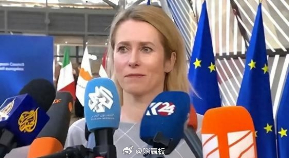 欧盟终于撕下了遮羞布。不是对俄动真格，而是集体对准中国，现在不是中国退不退的问题