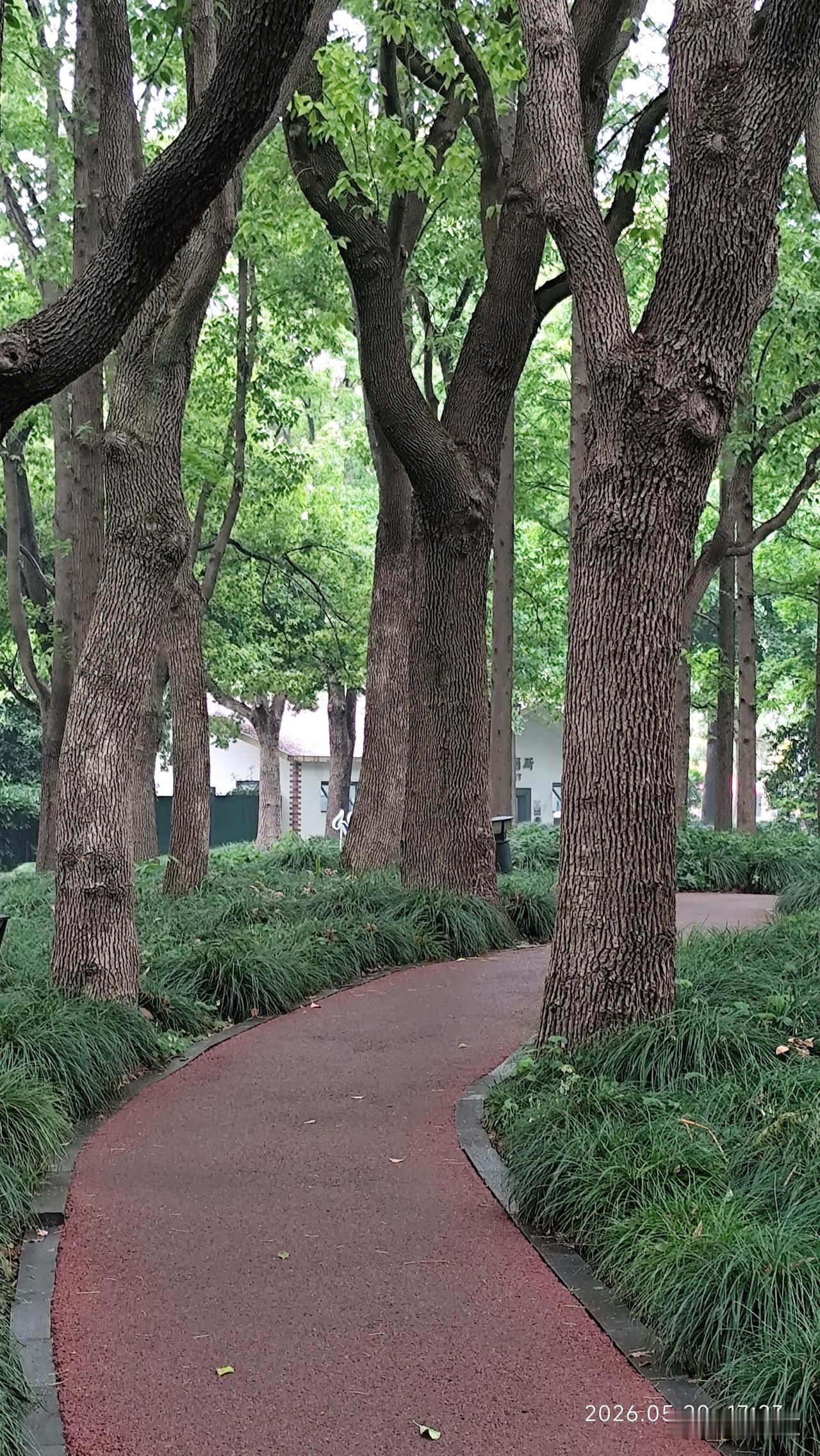 真心话茶局夏日公园健身步道是人们运动的主题，大都游客在适当的时间选择快走来增强体
