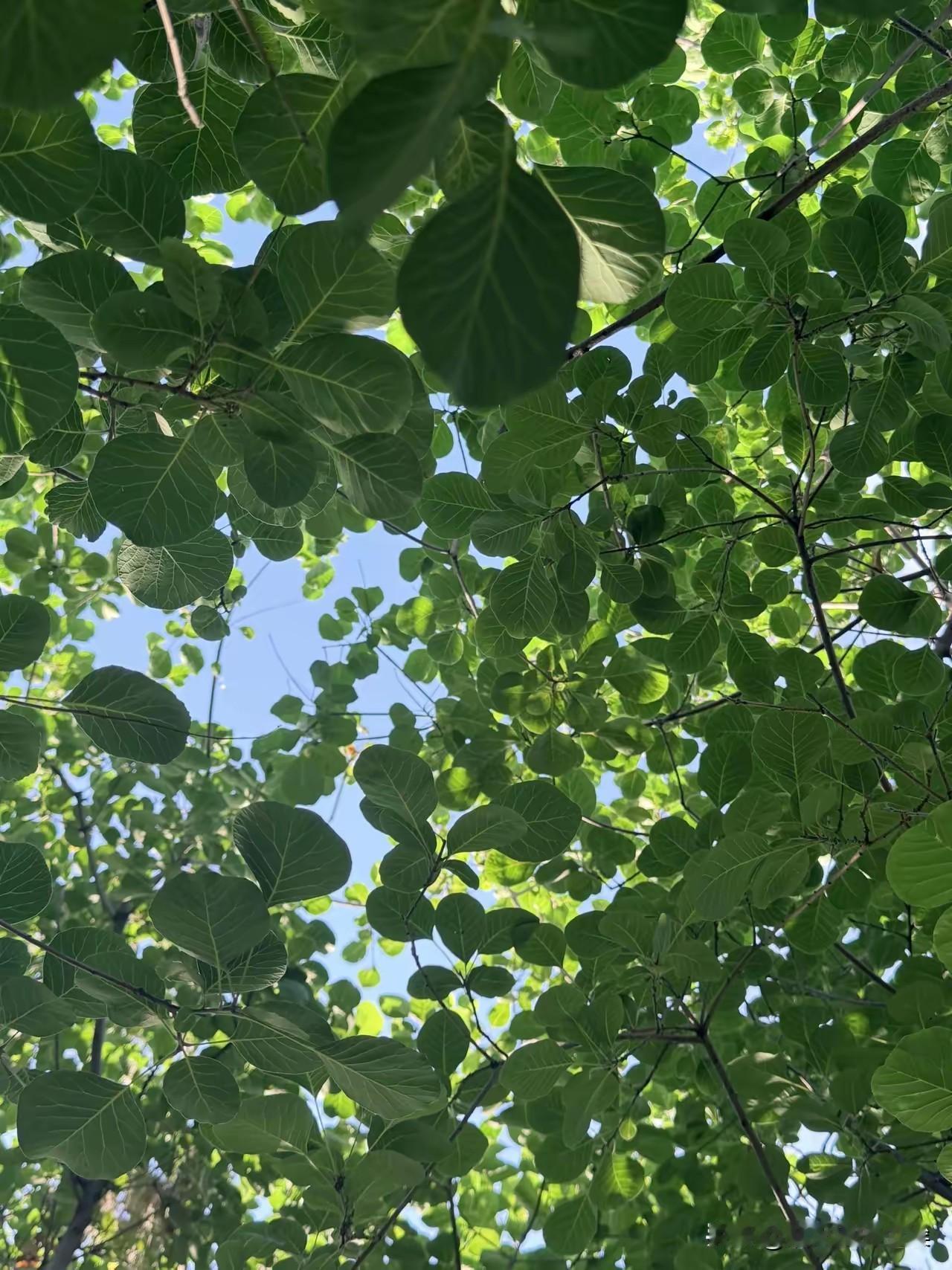 三伏天一定不能拒绝开空调
一、为什么不能拒绝空调
人体长时间处在35℃以上环境，