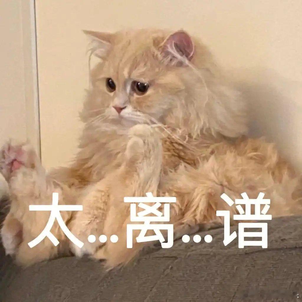 男子想领退休金发现被宣告死亡19年  江苏陶某1995年离婚后负气离家失联。20