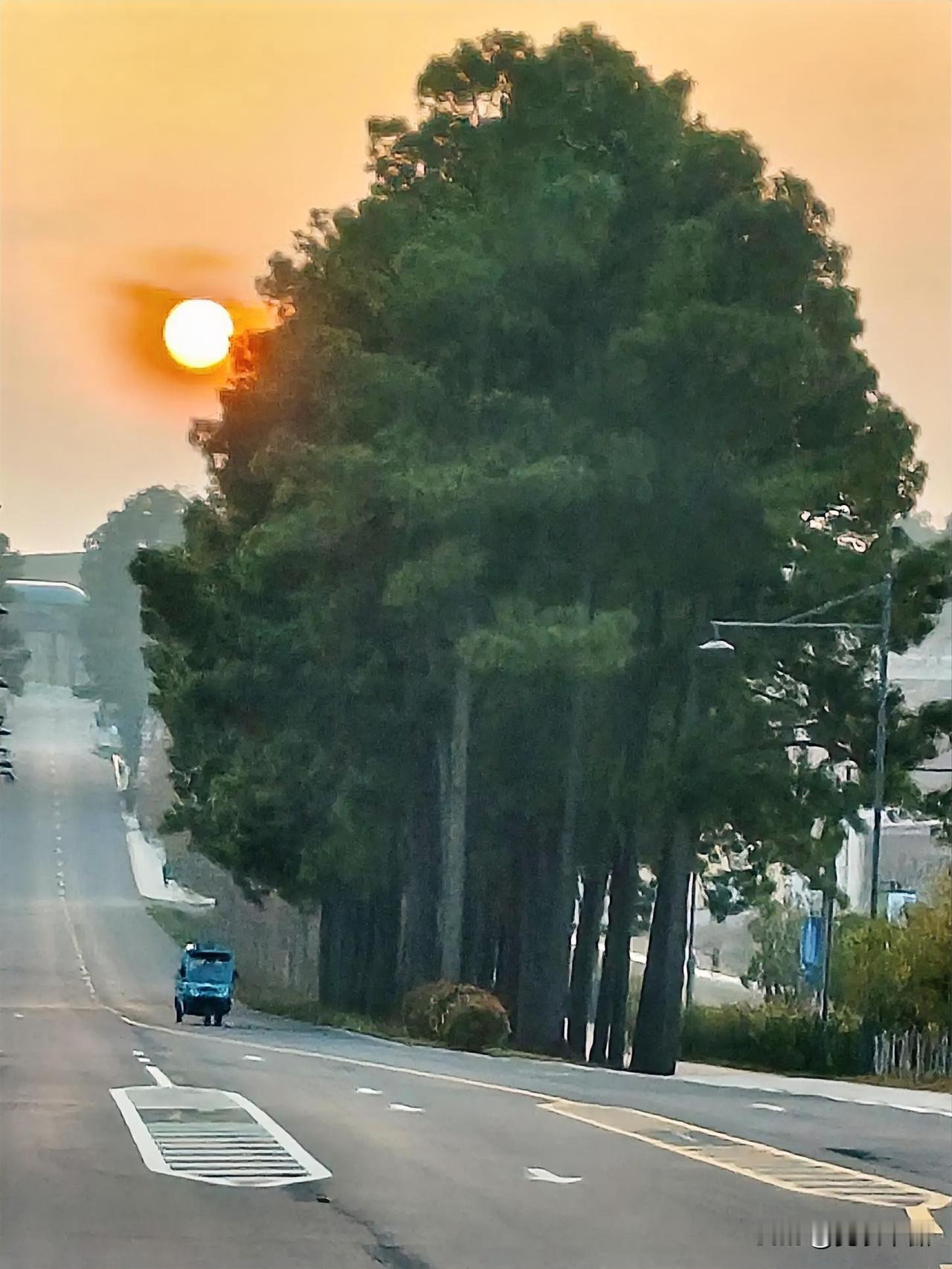 捕捉夕阳西下之美火红的夕阳挂在树尖