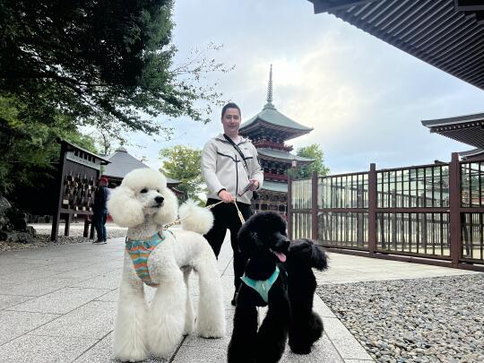 怪好看的