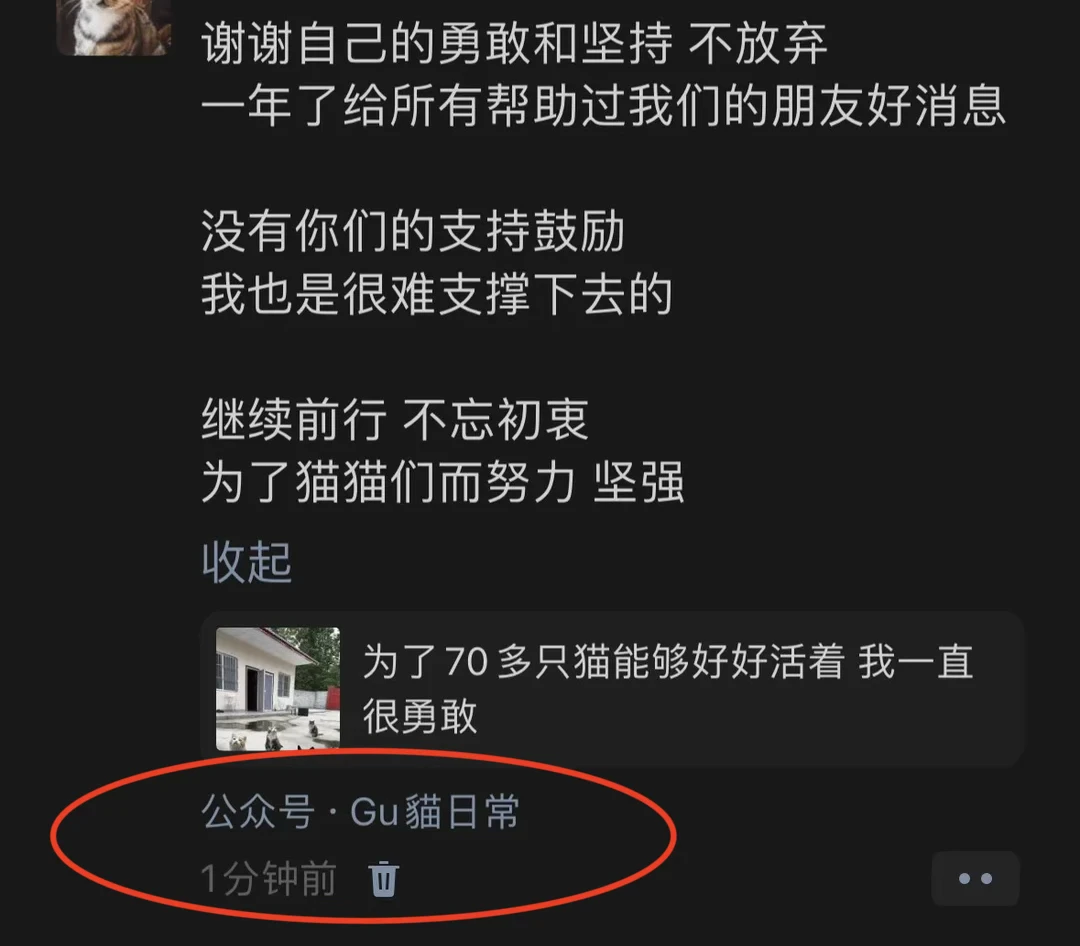 为了70多只猫能好好活着