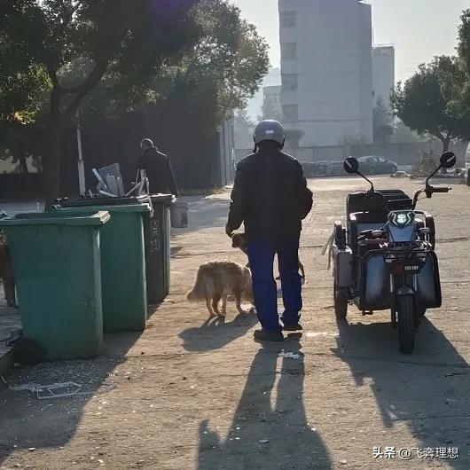 每天早晚都能看到老人在路边垃圾桶翻找剩菜剩饭给小狗吃，心里真不是滋味。
如今生活