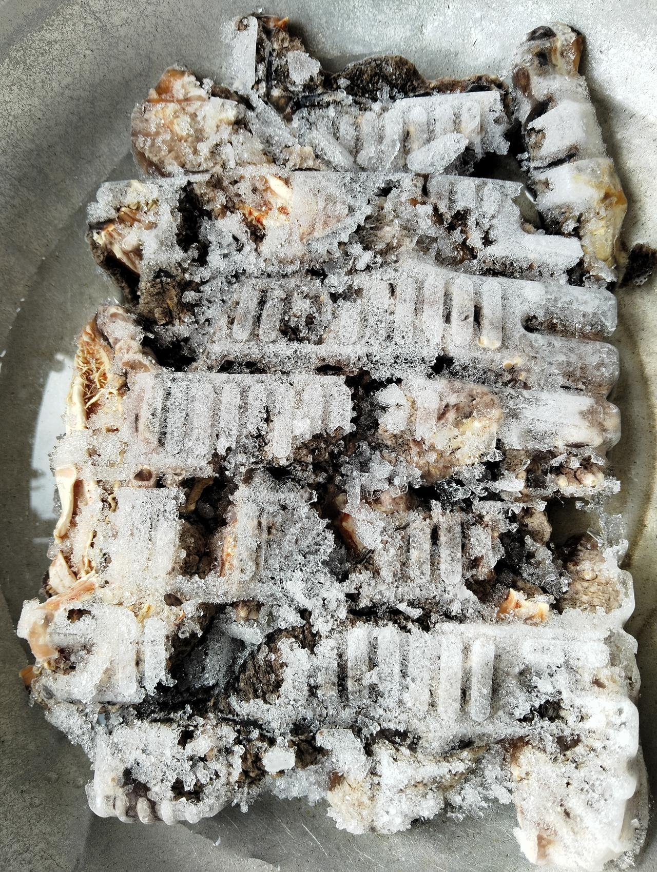 朋友送给我的北极参，一袋名义上是500克重。用不透明的蓝色塑料袋包装，里面的北极