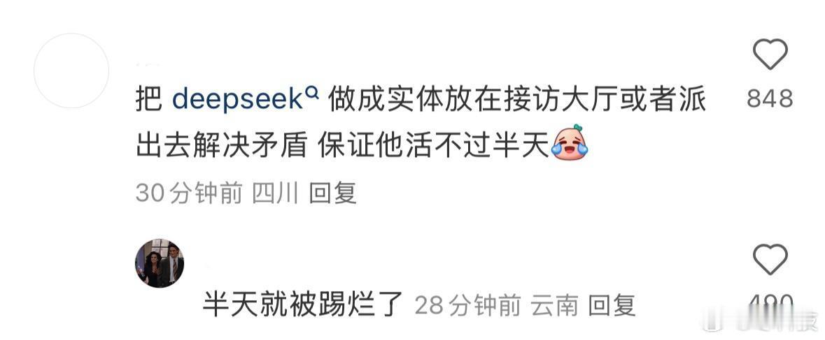 网友：还有什么是deepseek不会的 