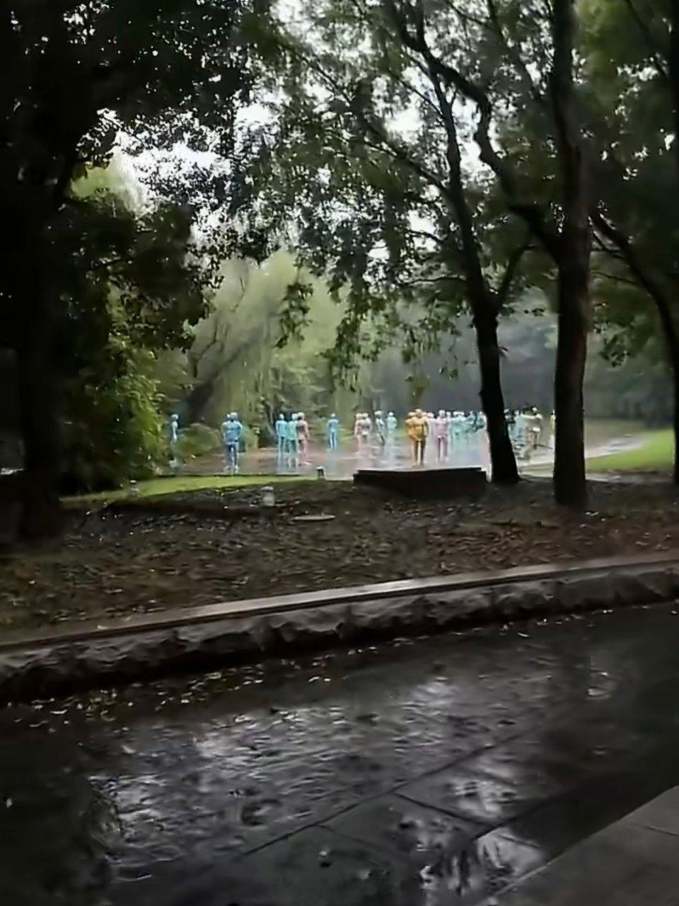 上海淀山湖现大量彩色人雕像好多年前我带孩子去东方绿洲游玩，就路过此地，艺术感召力