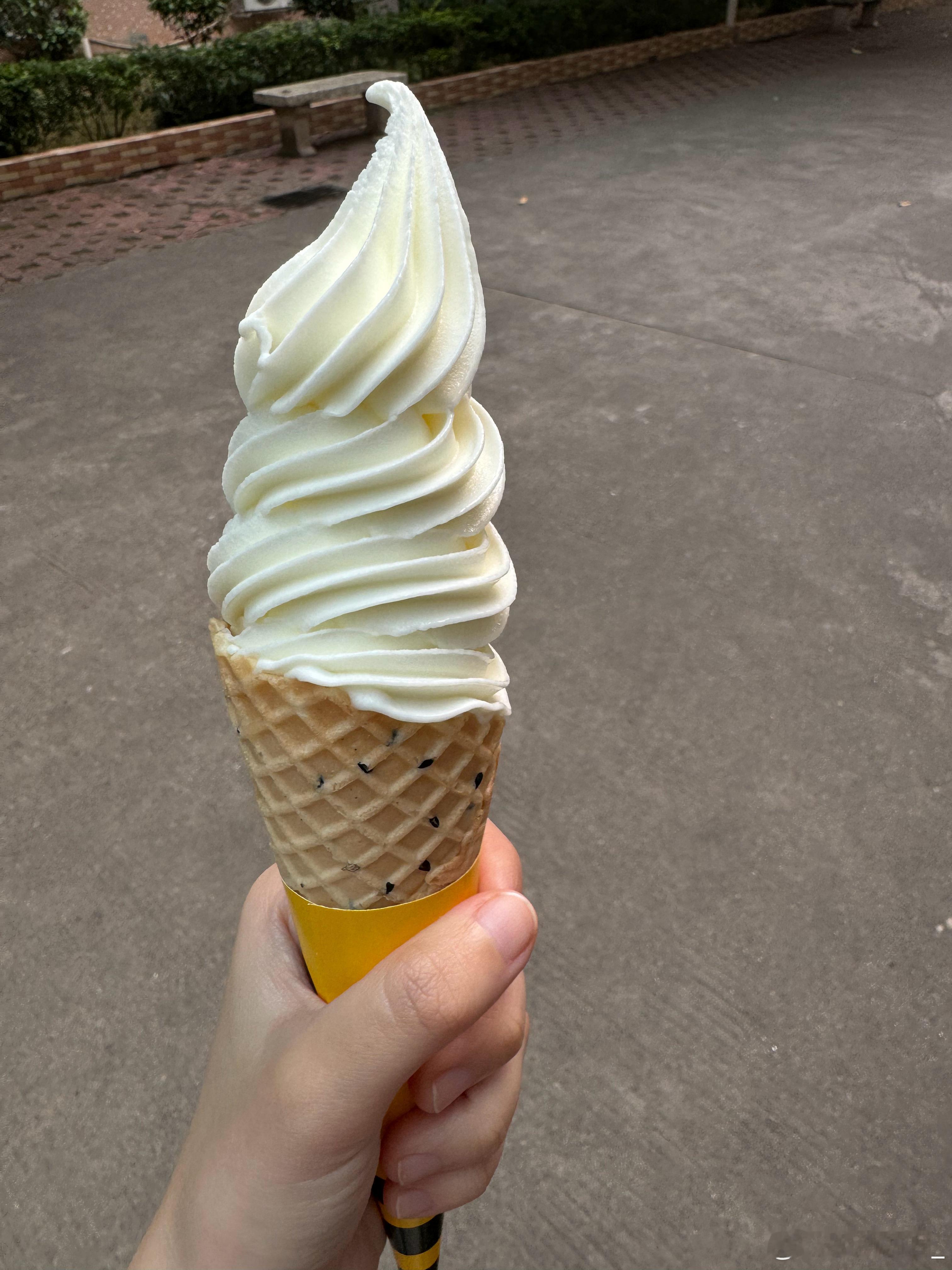 0.3的苦给给 没有不吃的道理 