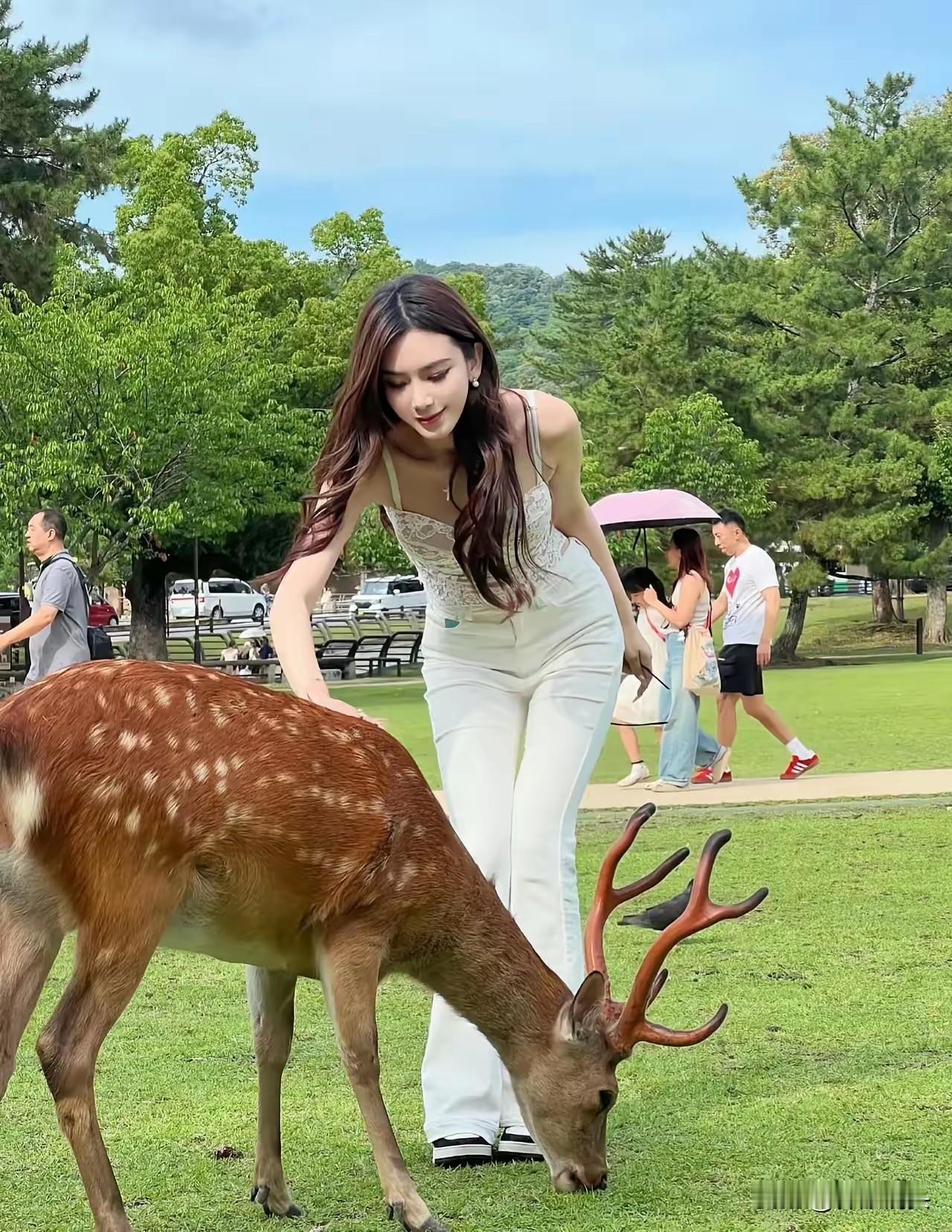 与鹿共舞，感受自然之美