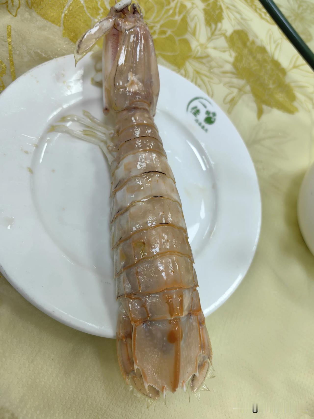 大湾区寻宝寻味汕尾…汕尾海鲜[赞][赞]