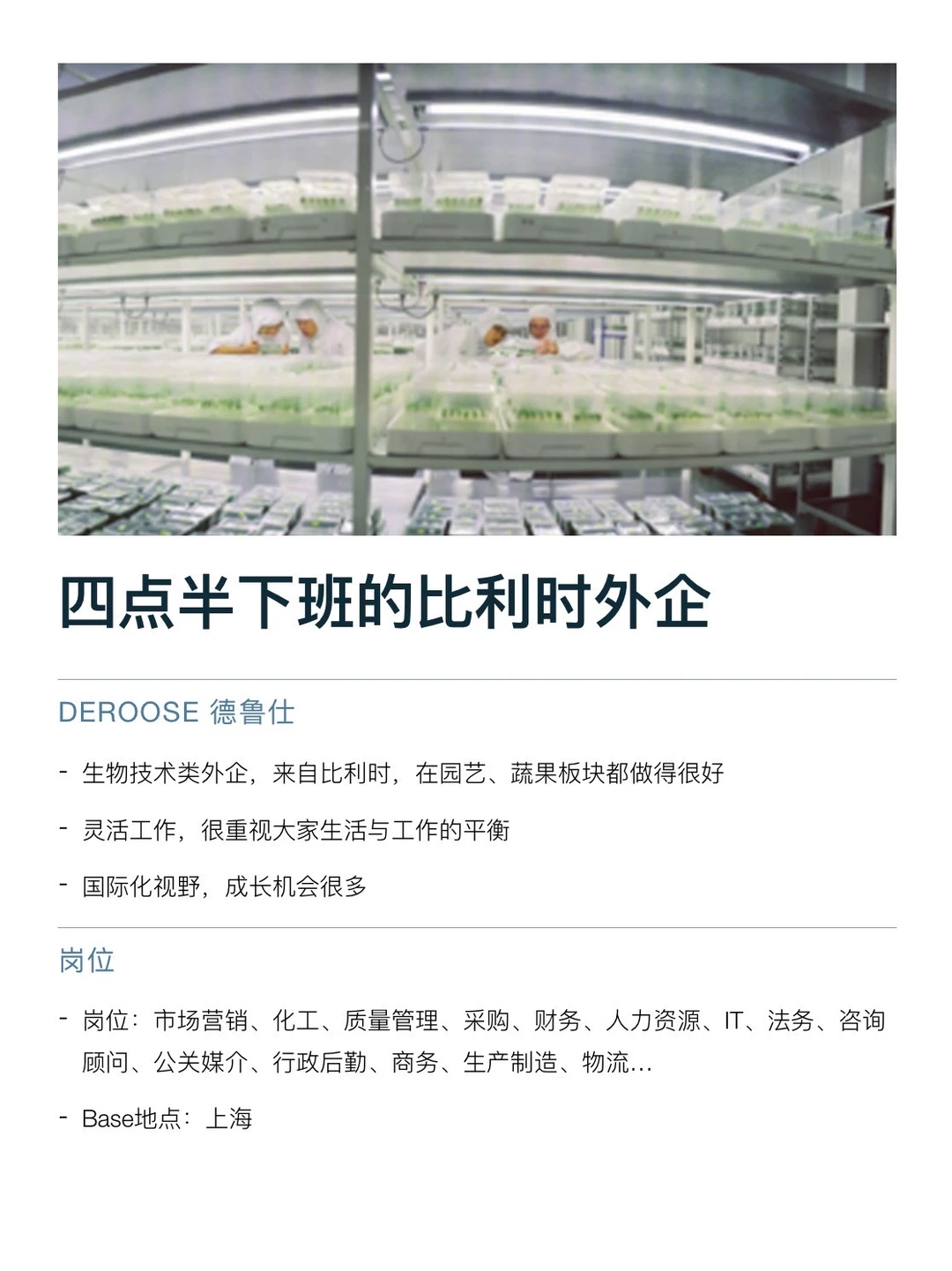 四点半下班的比利时公司，真的没人想来吗