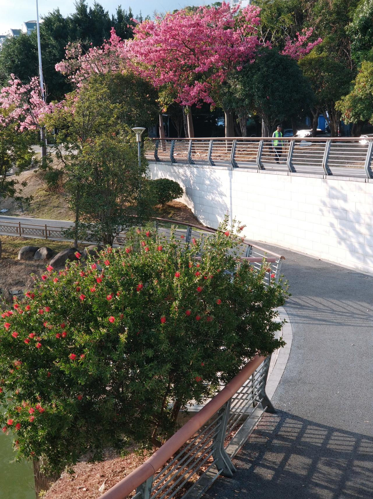 人老了，丧偶了，与其再婚找老伴，还不如花钱请个靠谱的保姆来得清净！
昨儿个在小区