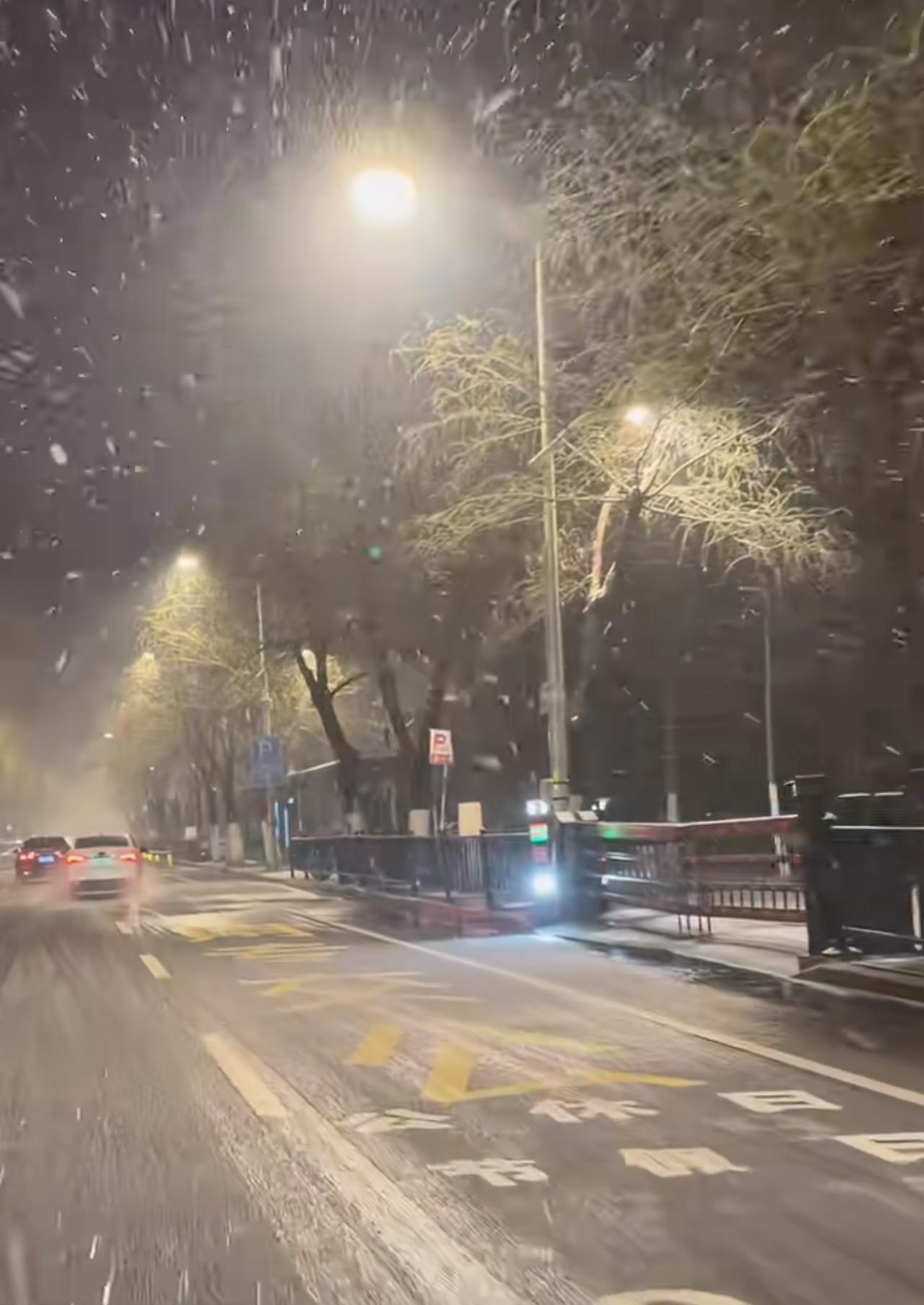 济南今日凌晨的春雪下的是猝不及防。
本来以为春天已经来临，路边的李子树也是满枝头