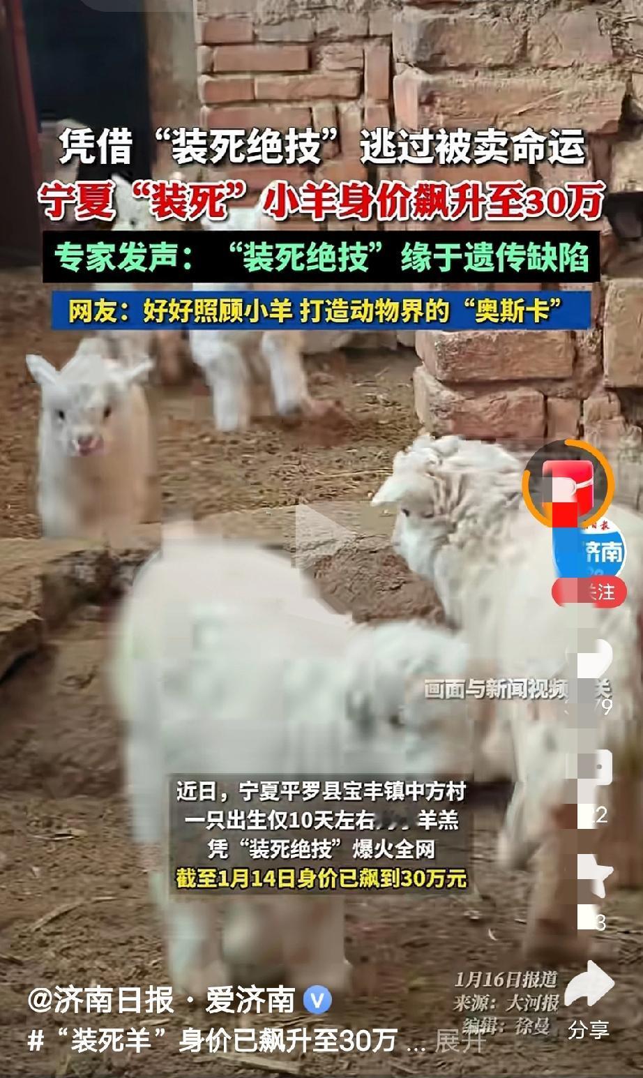 30万该出手了，再不出手恢复原价了[捂脸]