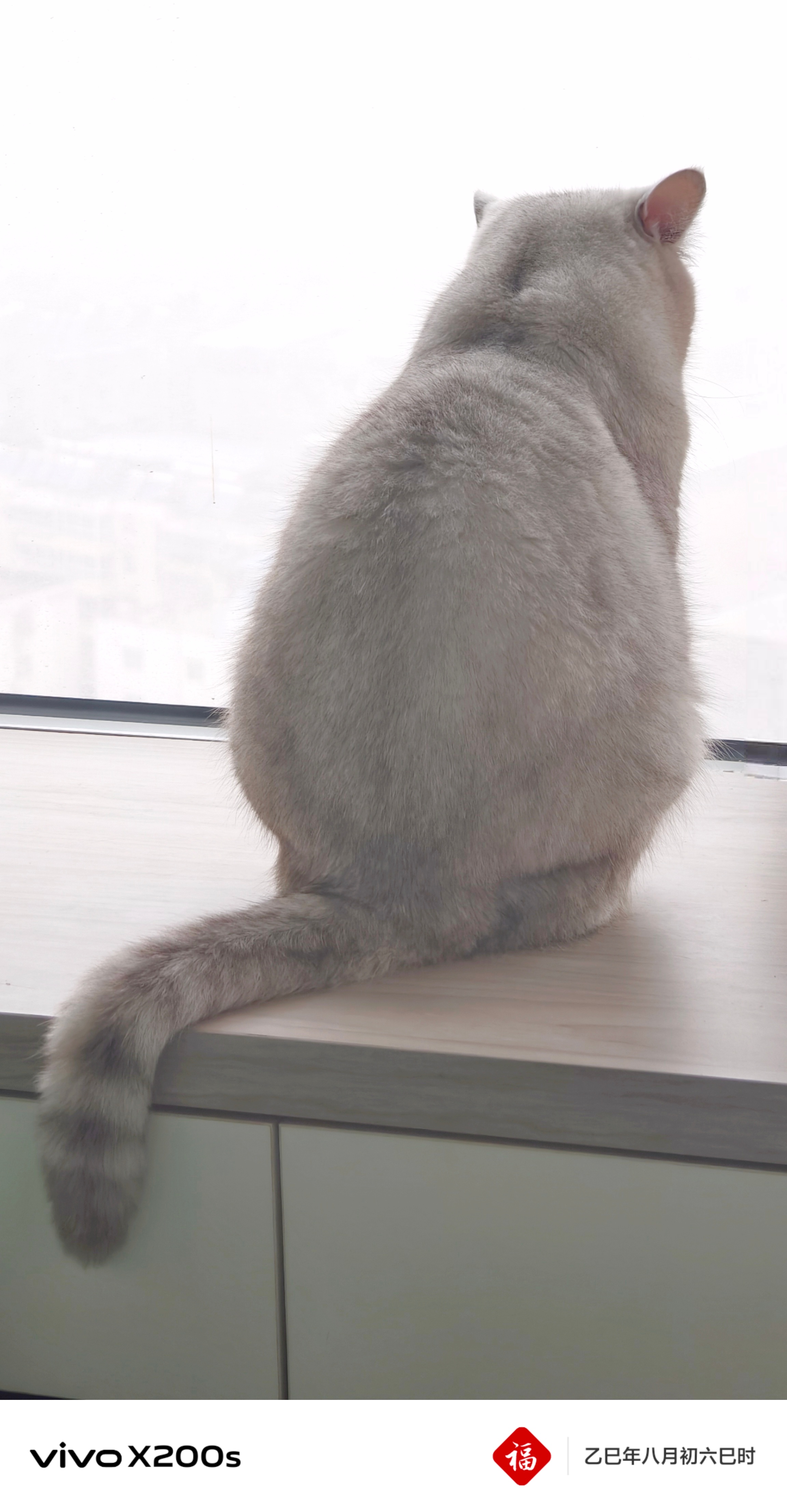分享图片 ​​​