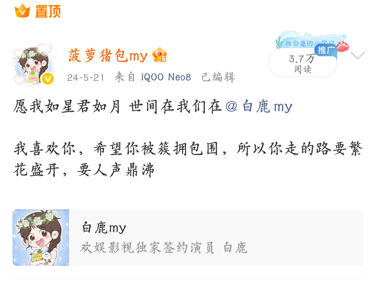 存档菠萝猪包my