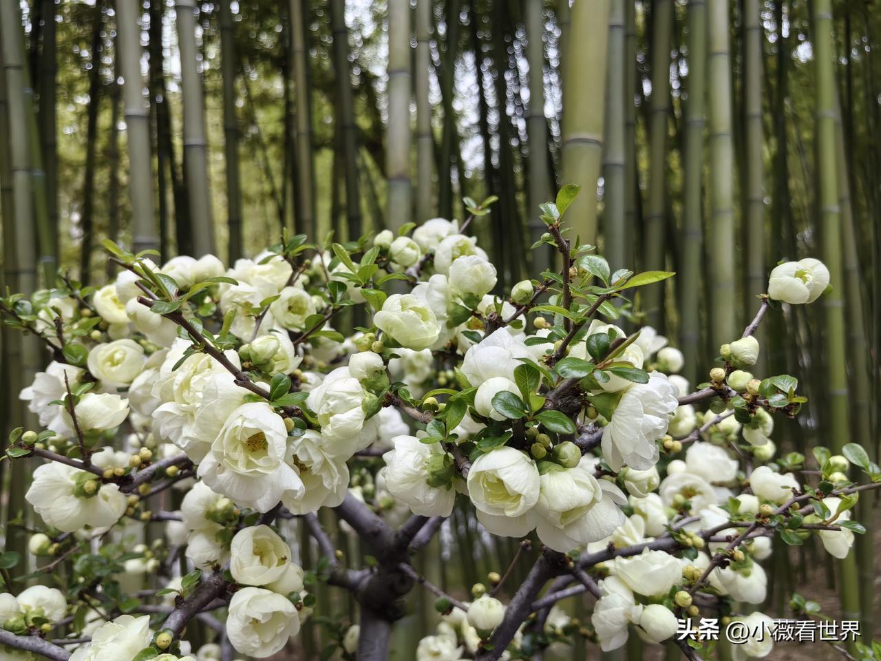 她是我女儿的干妈，比我大了差不多一圈，说起和她家的缘分，也是个长长的故事。

话