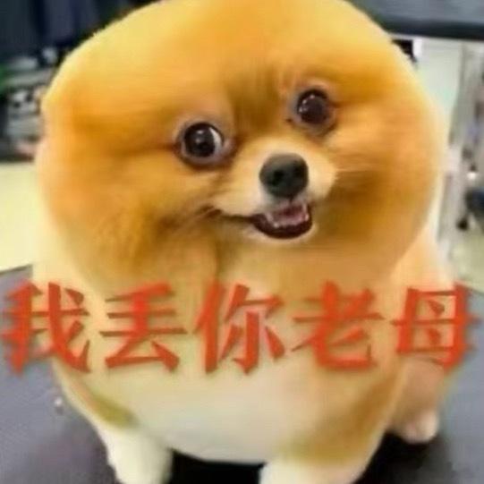 就是我闹着玩的然后额我是​​​