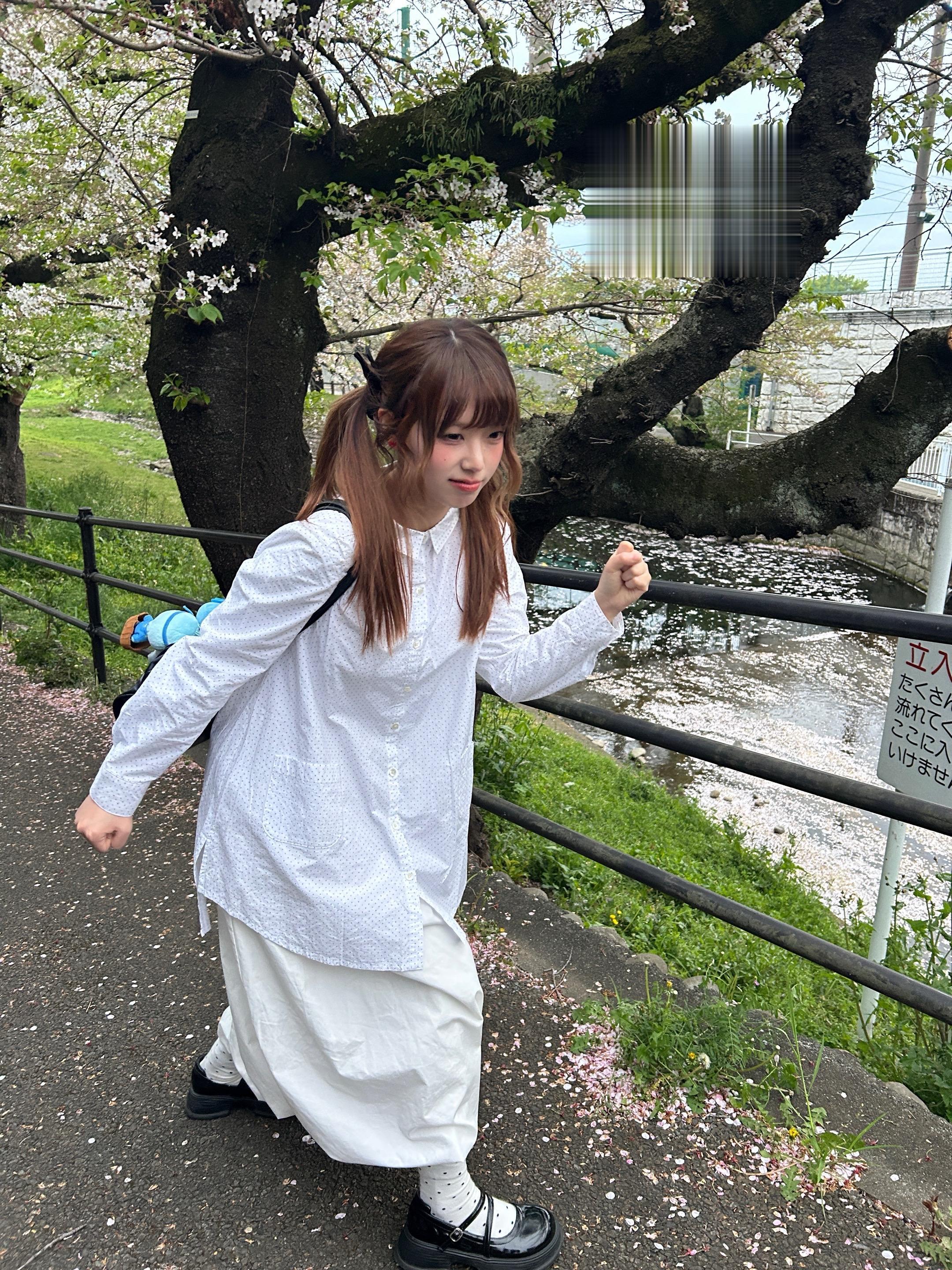 🍄花見(>o<)趁还没完全掉完看了Sakura🌸
