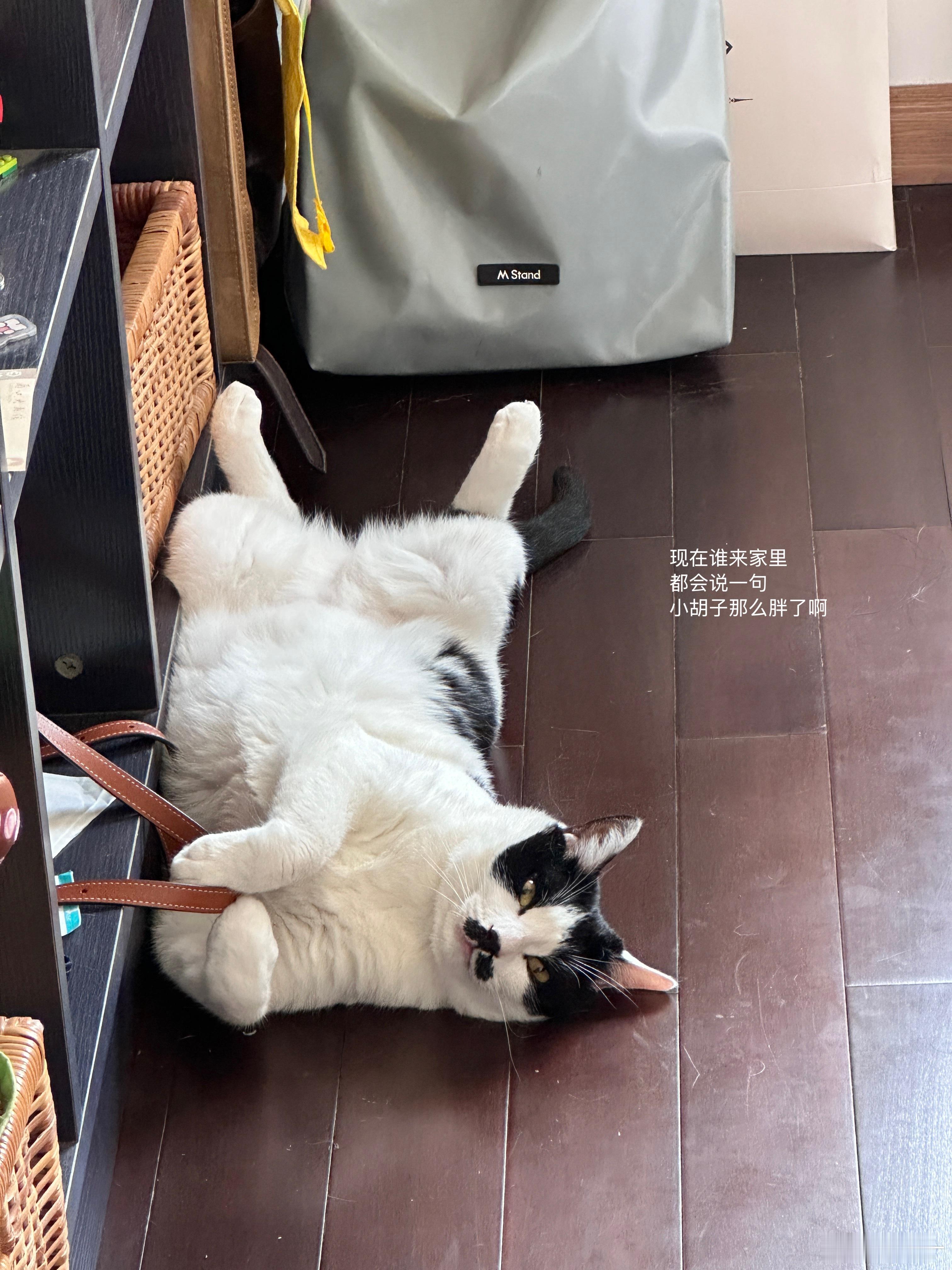 日子就这样一天天溜走… 