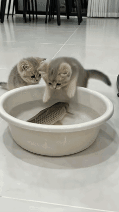 能力达不到，
永远别想贪图大的！