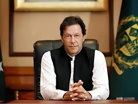 很多人都夸伊姆兰汗英俊，我真看不出来他有哪点英俊，看着硬邦邦的，有些凶悍，不太柔