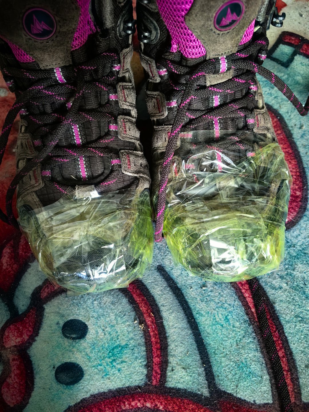 *碎碎念*吃过早饭立刻犯困，说是湿困脾阳，喝了半杯咖啡，好多了，但是午觉睡不着了