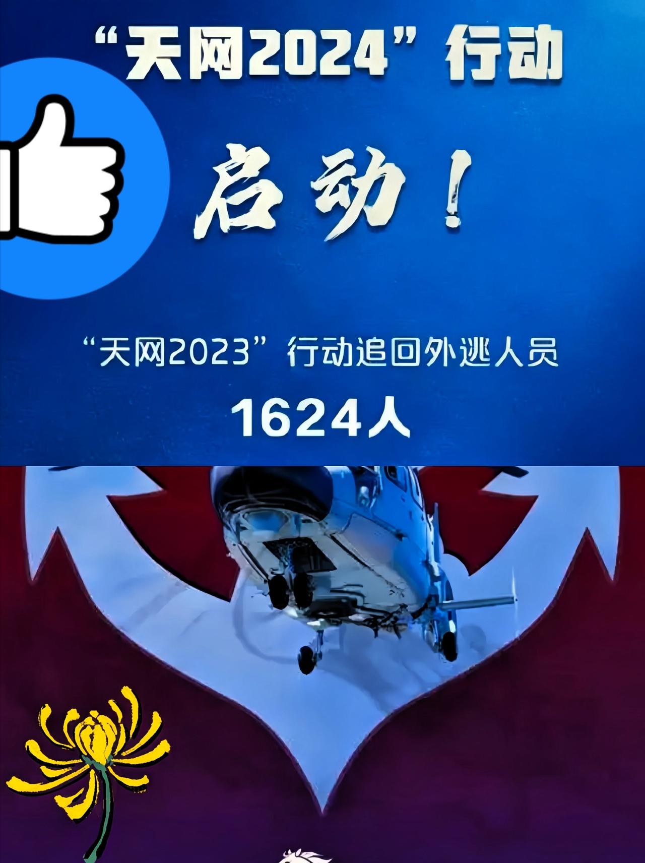 4月2号这消息一出，估计不少躲在国外的“老鼠”后脊梁骨得冒凉气。天网2026正式