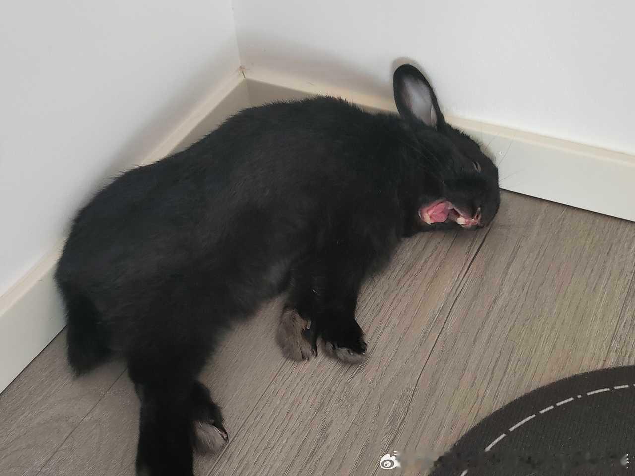 14510🐇【出片了】盘点那些神级场面 