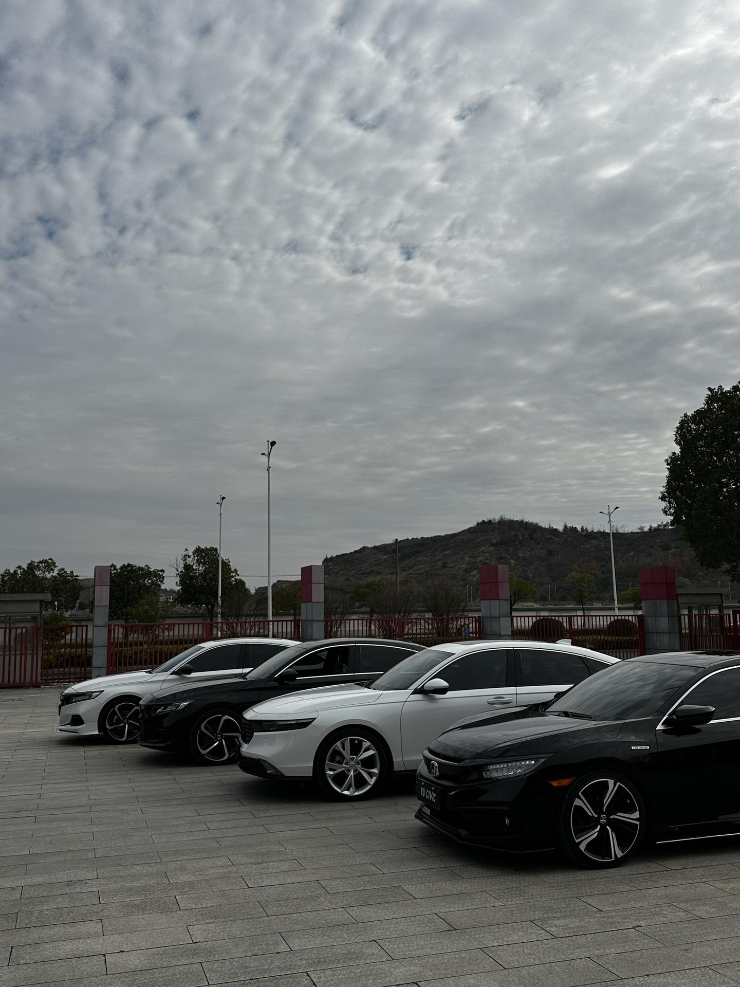 看到这里你又想买车了