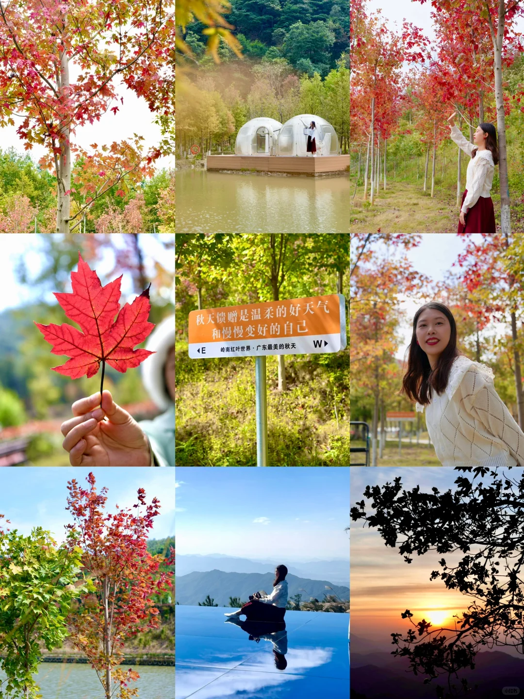 红了！在广东，来这里赏枫🍁藏着许多游玩惊喜