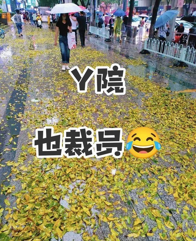 医院也开始裁员了？这消息一出，大家都炸锅了。降薪、裁人，连白衣天使都逃不过这场风