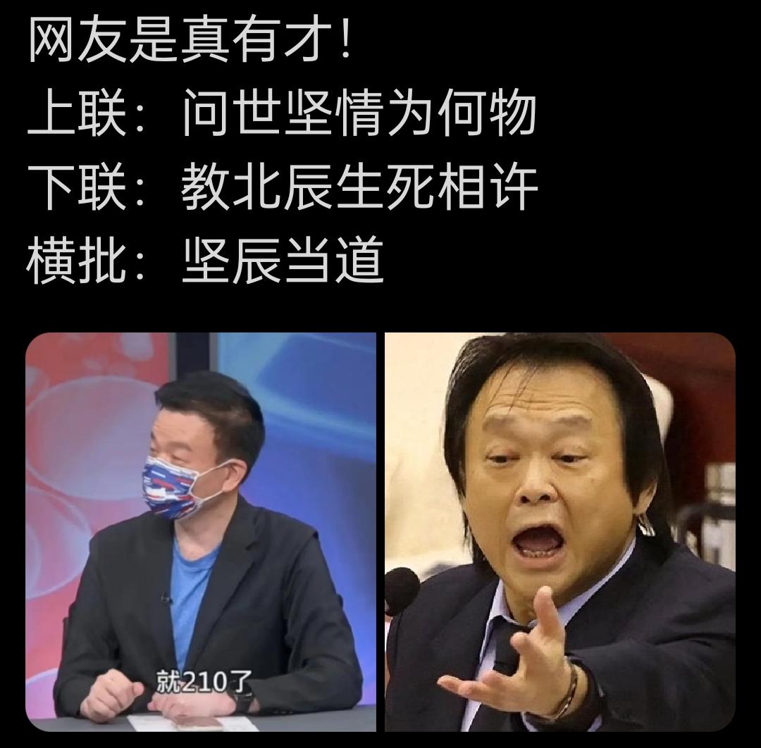 台湾傻事之对联篇！
上联:问世坚情为何物
下联:教北辰生死相许
横批：坚辰当道