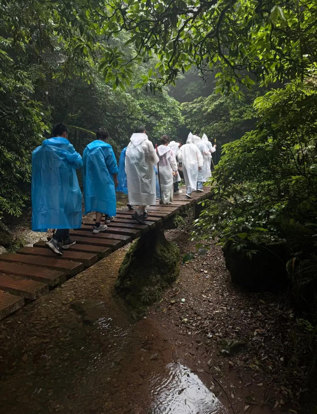 我建议大家爬山时不要买这种白色雨衣！