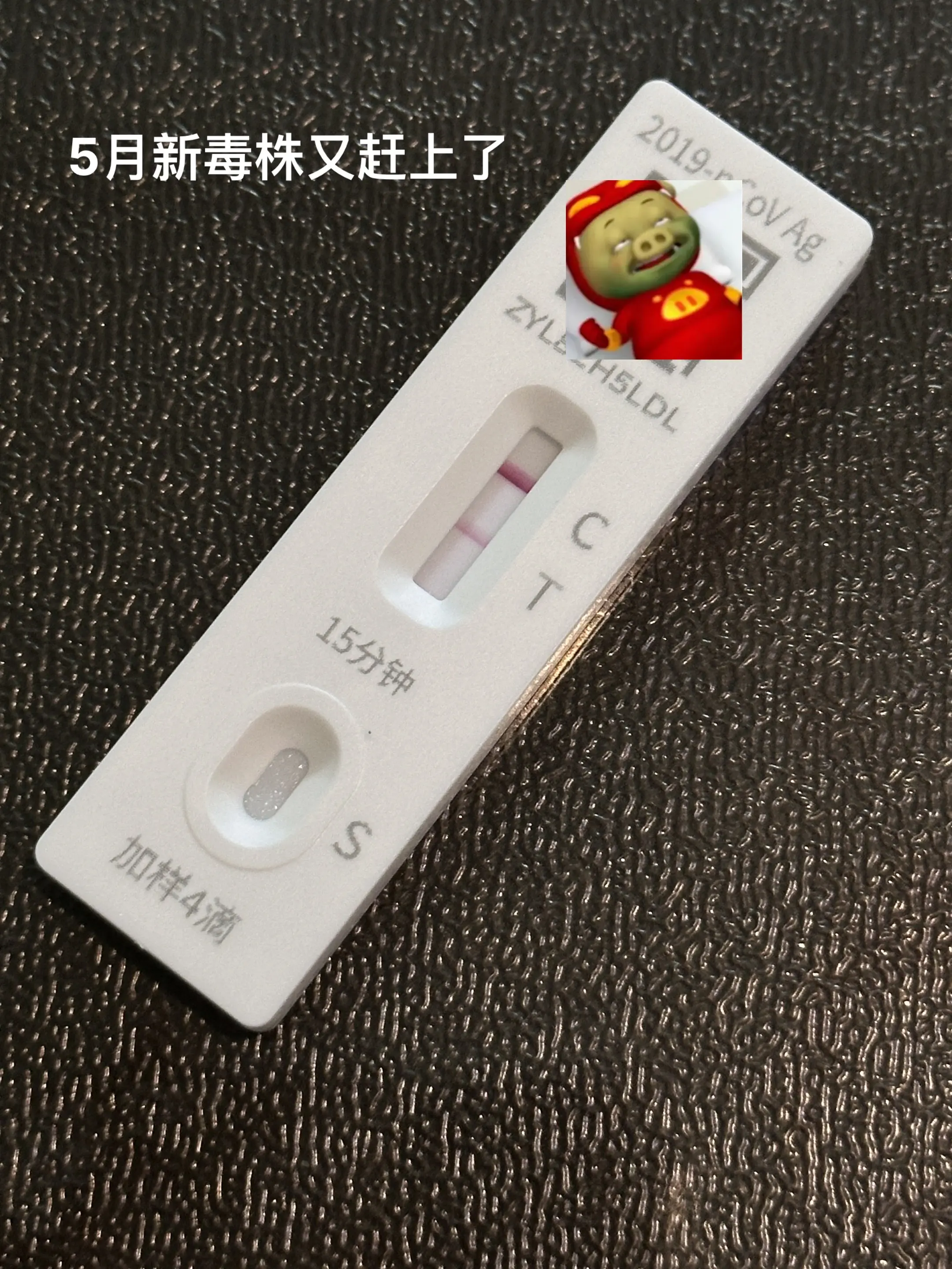 5月新毒株 阳了